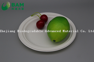 Fully Biodegradable Dividing Compostable Sugarcane Round Plant Fiber Bakery Takeaway Food Package Round Plate for Dessert Cake