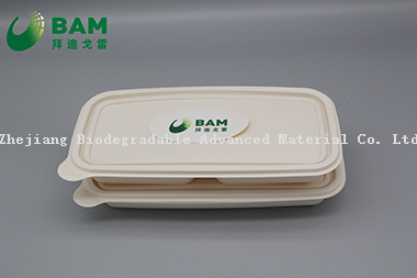 Fully Biodegradable Food Grade Disposable Compostable Sugarcane Plant Fiber Takeaway Food Packaging Containers for Pancake