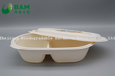 Fully Biodegradable 2 Compostable Sugarcane Snack Store Takeaway Food Plastic Packaging Containers for Dun Dessert
