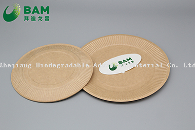 Fully Biodegradable Dividing Compostable Sugarcane Plant Fiber Bakery Takeaway Food Package Round Plate for Cake
