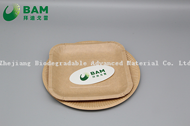 Fully Biodegradable Dividing Compostable Sugarcane Plant Fiber Bakery Takeaway Food Package Square Plate for Cake