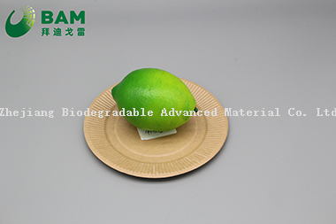 Fully Biodegradable Dividing Compostable Sugarcane Plant Fiber Bakery Takeaway Food Package Round Plate for Cake