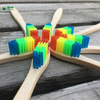 100% Biodegradable Natural Eco-Friendly House Colorful Soft Adult Handle Toothbrush
