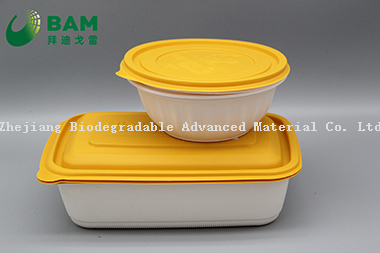 Fully Biodegradable Food Grade Compostable Sugarcane Corn Starch Takeaway Soup Fruits Rice Containers for Canteen Restaurant
