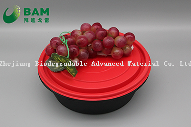 Fully Biodegradable Compostable Sugarcane Plant Fiber Disposable Sugarcane Bagasse Catering Takeaway Food Containers for Soup Fruits