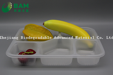 Fully Biodegradable 5 Compartment Compostable Sugarcane Plant Fiber Canteen Takeaway Food Containers for Fast-Food