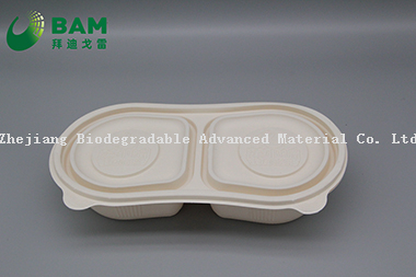 2 Compartments Fully Biodegradable Compostable Sugarcane Plant Fiber Takeaway Food Containers for Bun Dessert Fruits